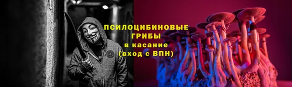 кокс Няндома