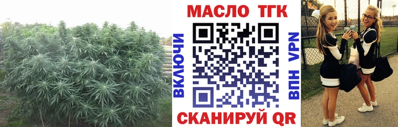 мега ONION  Зерноград  ТГК гашишное масло 