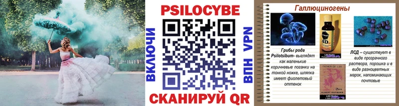 MEGA как войти  Зерноград  Галлюциногенные грибы мухоморы 