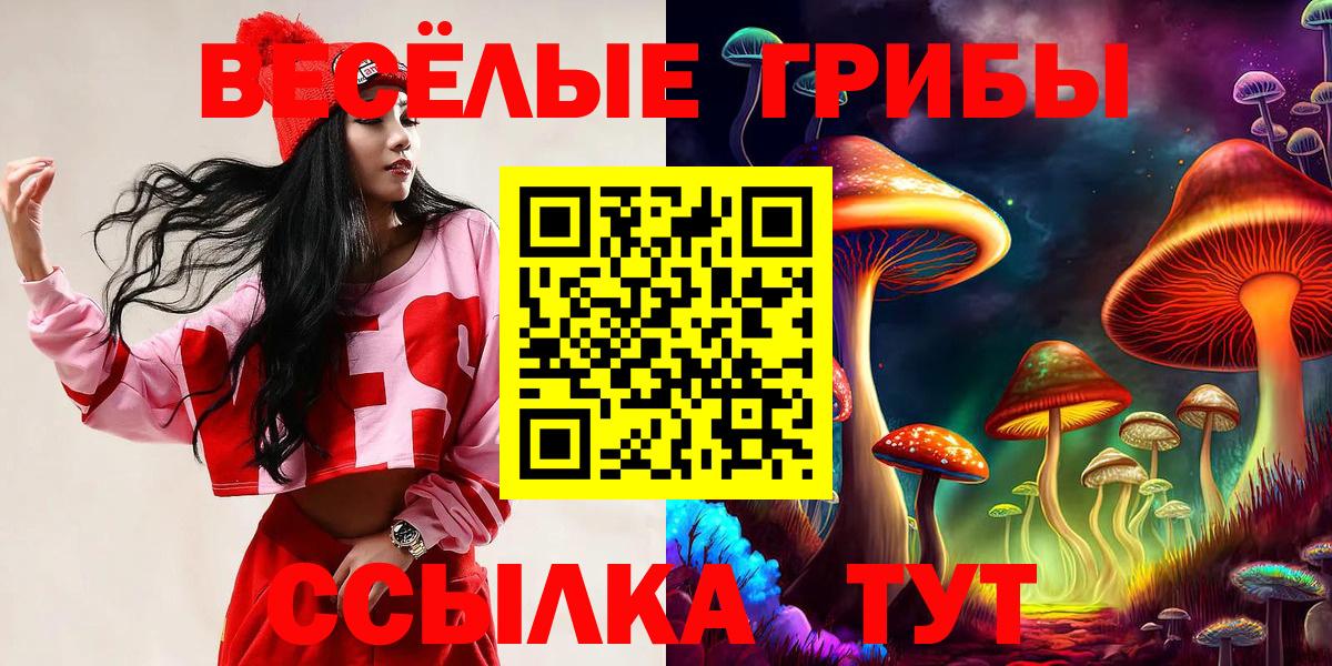 Зерноград  цены   Вход с VPN  Псилоцибиновые грибы GOLDEN TEACHER 