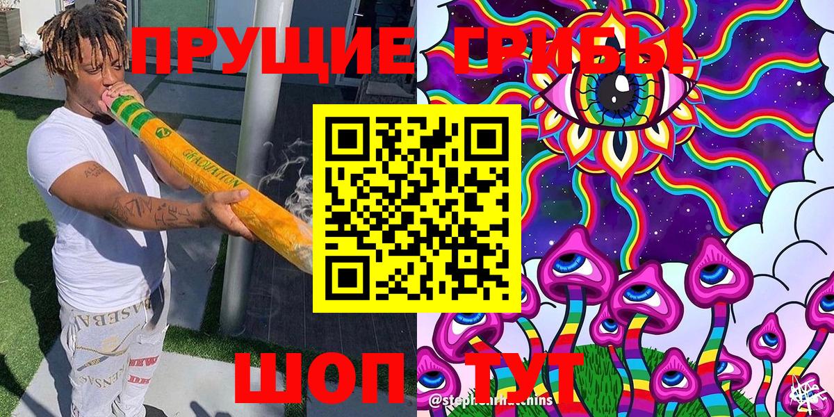 Галлюциногенные грибы Psilocybine cubensis Зерноград